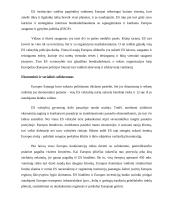 Europos Sąjunga (ES). Valstybės pagrindų pristatymas 4 puslapis