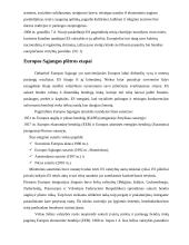 Europos Sąjunga (ES). Valstybės pagrindų pristatymas 6 puslapis