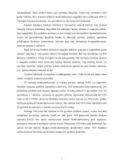 Europos Sąjungos  (ES) institucinė sandara, bendros politikos formavimas 7 puslapis