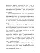 Europos Sąjungos (ES) ateities perspektyvos 8 puslapis