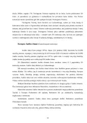 Europos Sąjungos (ES) institucijos ir jų pagrindinė veikla 14 puslapis