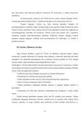 Europos Sąjungos (ES) institucijos ir jų pagrindinė veikla 8 puslapis