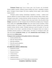 Europos Sąjunga bei Europos Sąjungos institucijos 13 puslapis