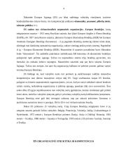 Europos Sąjunga bei Europos Sąjungos institucijos 3 puslapis