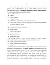 Europos Sąjunga bei Europos Sąjungos institucijos 4 puslapis