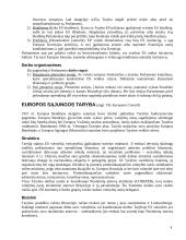 Europos Sąjungos institucijos - struktūra, būstinės, veikla 4 puslapis