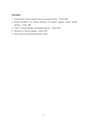 Europos Sąjungos ištakos 11 puslapis