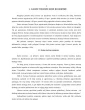 Europos Sąjungos (ES) parama kaimo turizmui 2 puslapis