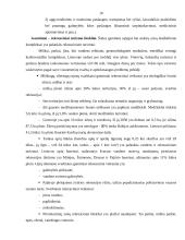 Europos Sąjungos (ES) parama kaimo turizmui 8 puslapis