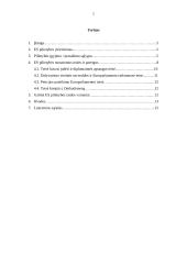 Europos Sąjungos pilietybė ir jos reikšmė 2 puslapis