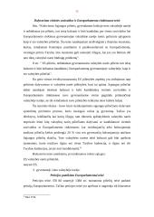 Europos Sąjungos pilietybė ir jos reikšmė 11 puslapis