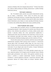 Europos Sąjungos pilietybė ir jos reikšmė 12 puslapis