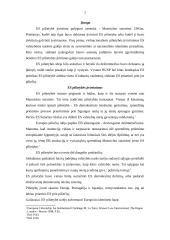 Europos Sąjungos pilietybė ir jos reikšmė 3 puslapis