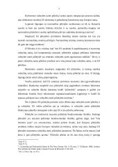 Europos Sąjungos pilietybė ir jos reikšmė 4 puslapis