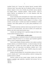 Europos Sąjungos pilietybė ir jos reikšmė 5 puslapis