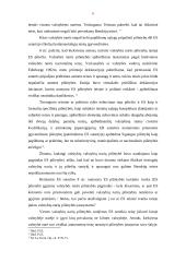 Europos Sąjungos pilietybė ir jos reikšmė 6 puslapis