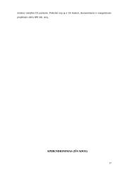 Europos sąjungos (ES) plėtra XXI amžiuje 17 puslapis