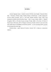 Europos sąjungos (ES) plėtra XXI amžiuje 3 puslapis