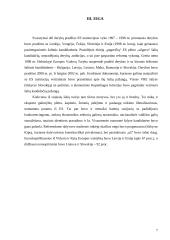 Europos sąjungos (ES) plėtra XXI amžiuje 7 puslapis