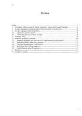 Europos Sąjungos (ES) socialinė poltika 2 puslapis