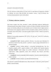 Europos Sąjungos (ES) socialinė poltika 11 puslapis