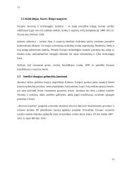 Europos Sąjungos (ES) socialinė poltika 13 puslapis