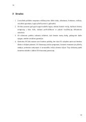 Europos Sąjungos (ES) socialinė poltika 14 puslapis