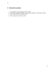 Europos Sąjungos (ES) socialinė poltika 15 puslapis