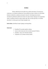 Europos Sąjungos (ES) socialinė poltika 3 puslapis