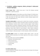 Europos Sąjungos (ES) socialinė poltika 4 puslapis