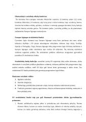 Europos Sąjungos (ES) socialinė poltika 7 puslapis