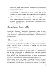 Europos Sąjungos (ES) socialinė poltika 8 puslapis