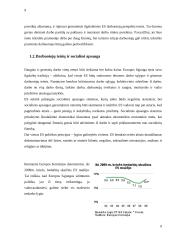 Europos Sąjungos (ES) socialinė poltika 9 puslapis