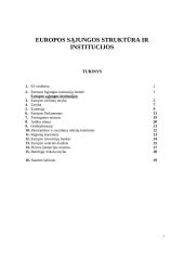 Europos Sąjungos (ES) struktūra ir institucijos