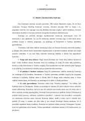 Europos Sąjungos (ES) taryba ir Europos komisija (EK) 12 puslapis