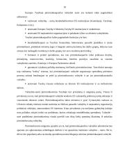 Europos Sąjungos (ES) taryba ir Europos komisija (EK) 9 puslapis