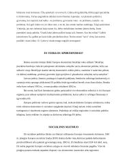 Europos Sąjungos (ES) veikla 5 puslapis