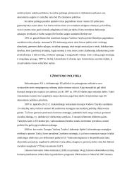 Europos Sąjungos (ES) veikla 6 puslapis