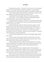 Europos Sąjungos (ES) veikla 8 puslapis