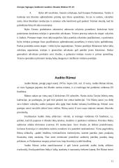 Europos Sąjungos institucinė sandara 11 puslapis