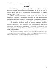 Europos Sąjungos institucinė sandara 13 puslapis