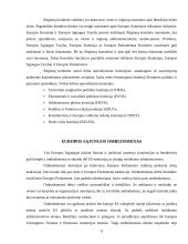 Europos sąjungos pagrindinės institucijos ir jų veikla 11 puslapis