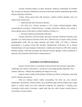 Europos sąjungos pagrindinės institucijos ir jų veikla 13 puslapis