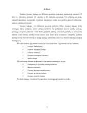 Europos sąjungos pagrindinės institucijos ir jų veikla 3 puslapis