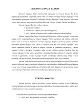 Europos sąjungos pagrindinės institucijos ir jų veikla 5 puslapis