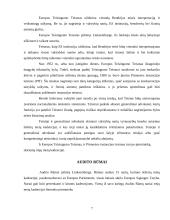 Europos sąjungos pagrindinės institucijos ir jų veikla 7 puslapis