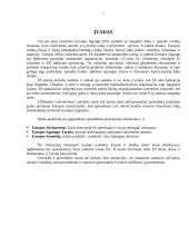 Europos sąjungos sprendimus priimančios institucijos ir jų paskirtis 2 puslapis