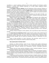 Europos sąjungos sprendimus priimančios institucijos ir jų paskirtis 11 puslapis