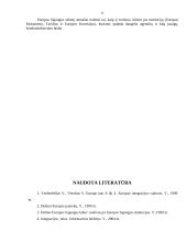 Europos sąjungos sprendimus priimančios institucijos ir jų paskirtis 13 puslapis