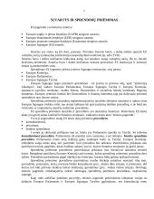 Europos sąjungos sprendimus priimančios institucijos ir jų paskirtis 3 puslapis